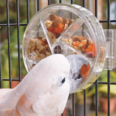 Bird Creative Foraging System Seed Food Ball Rotation Jouet d