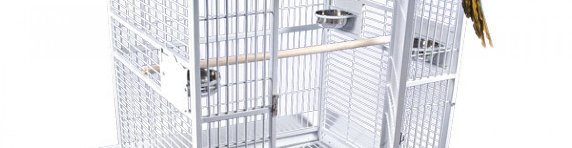 Wrought Iron Cages Royal Avian